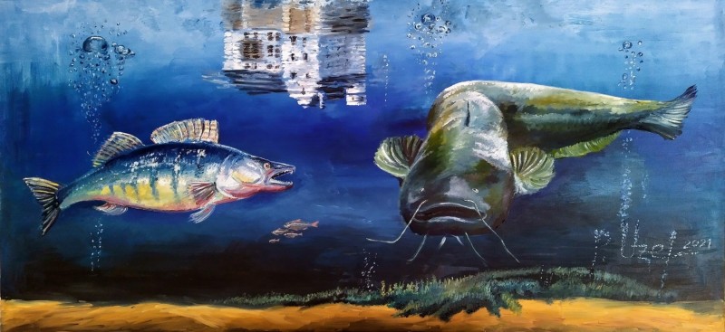 Rybářská imprese - Orlík pod Vltavou